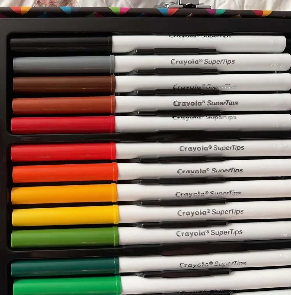 Crayola Chevron Pattern Art Case